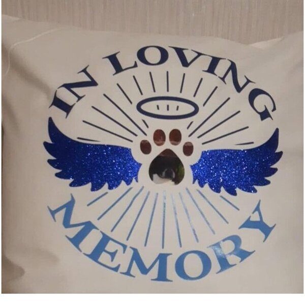 Personalised HTV Vinyl Cushions